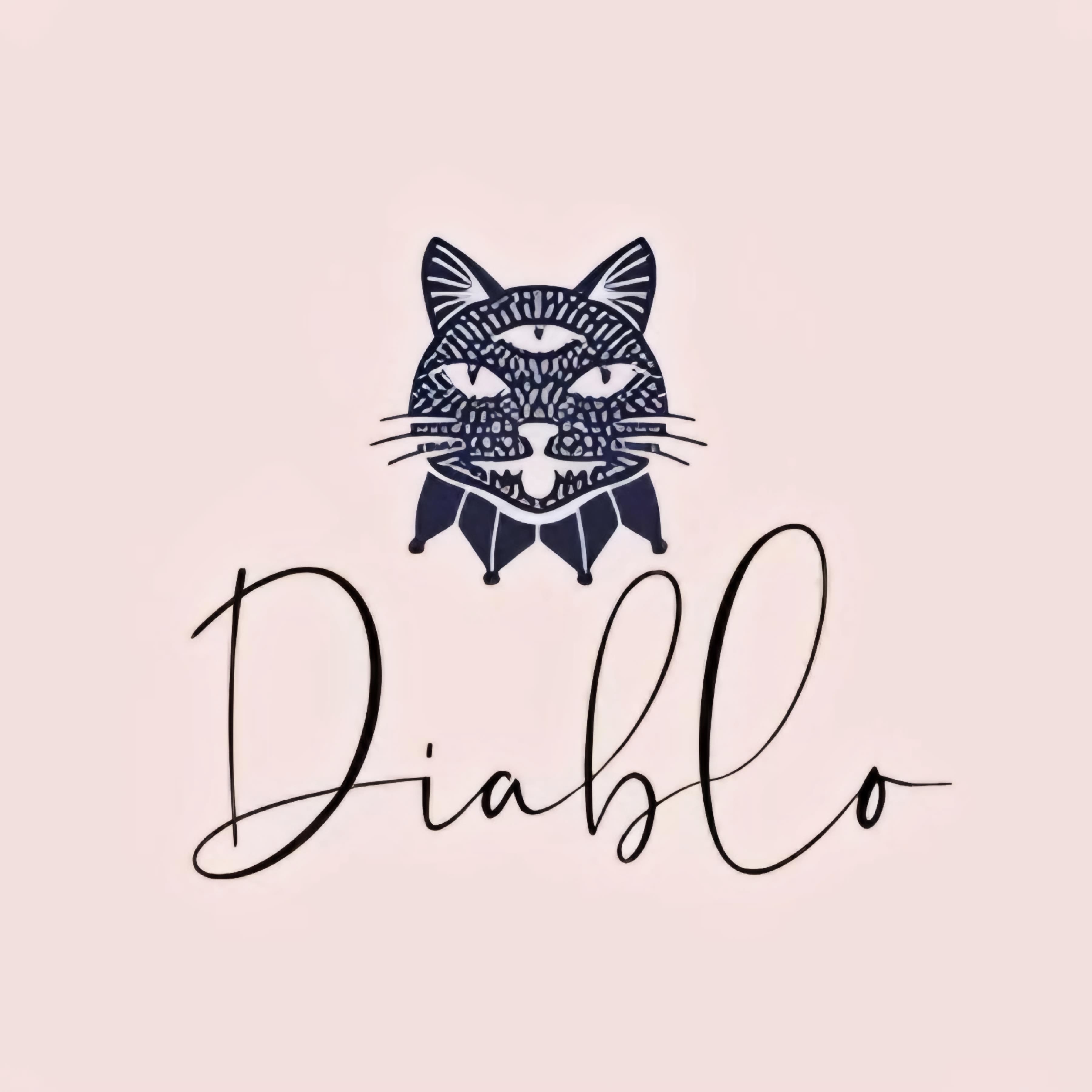 Diablo Cyberhub